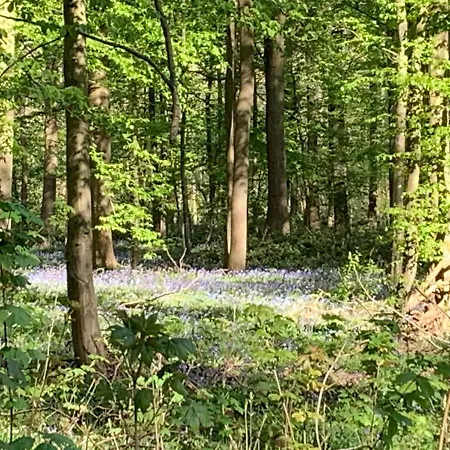 La Clef Des Bois - Séjournez En Cœur De Forêt